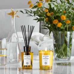 Parfum D'Ambiance & Diffuseur D'Intérieur>ACQUA DI PARMA Insieme                Diffuseur d'Ambiance