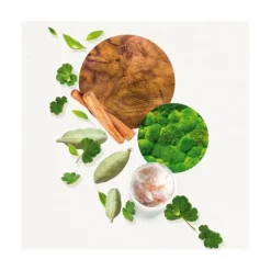 Eau De Toilette>Annayaké Kogaï For Him                Eau de Toilette