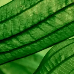 Soin Jour & Nuit|Sérum Et Booster>Biotherm AquaSource Deep Revitalizer                Sérum Concentré Hydratation Profonde & Lumière