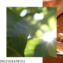 Soin De Nuit><noscript><img width=