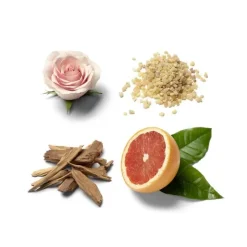 Eau De Parfum><noscript><img width=