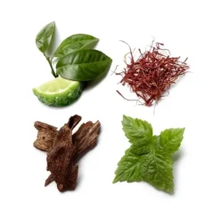 Eau De Parfum><noscript><img width=