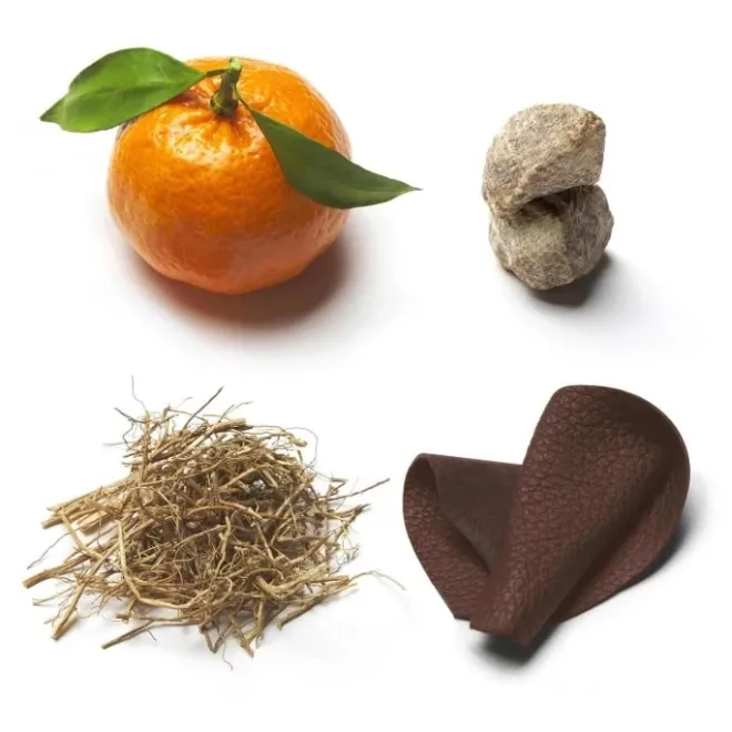 Eau De Parfum>Brioni Eau de Parfum Suave