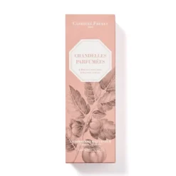 Chandelle & Cierge>Carrière Frères Fruits                Chandelle Parfumée