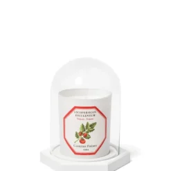 Accessoires Maison>Carrière Frères Le Dome - Socle & Cloche                Coffret Accessoires