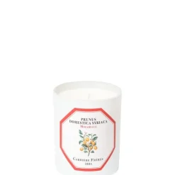 Bougie Parfumée>Carrière Frères Mirabelle - Prunus Domestica Syrica                Bougie Parfumée