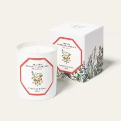 Bougie Parfumée>Carrière Frères Mirabelle - Prunus Domestica Syrica                Bougie Parfumée