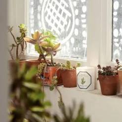 Bougie Parfumée><noscript><img width=