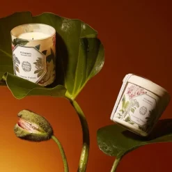 Bougie Parfumée><noscript><img width=