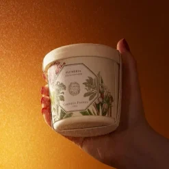 Bougie Parfumée><noscript><img width=