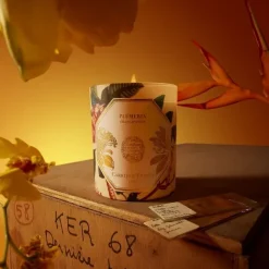 Bougie Parfumée><noscript><img width=