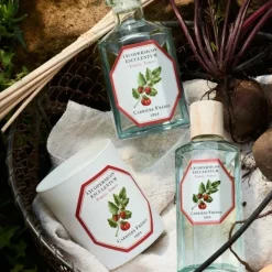 Parfum D'Ambiance & Diffuseur D'Intérieur><noscript><img width=