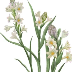 Bougie Parfumée><noscript><img width=