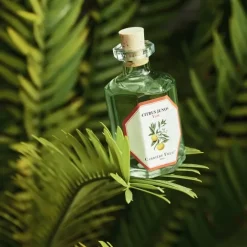 Parfum D'Ambiance & Diffuseur D'Intérieur><noscript><img width=