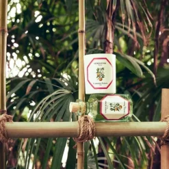 Parfum D'Ambiance & Diffuseur D'Intérieur><noscript><img width=