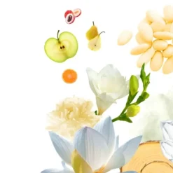 Eau De Toilette><noscript><img width=