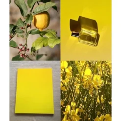 Parfum Mixte><noscript><img width=