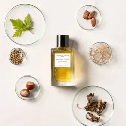 Essential Parfums|Parfum Naturel & Eco-Responsable>Essential Parfums Patchouli Mania                Eau de Parfum - Flacon Recharge