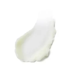 Démaquillant Visage|Nettoyant Visage>ESTEE LAUDER Advanced Night Repair                Baume Nettoyant