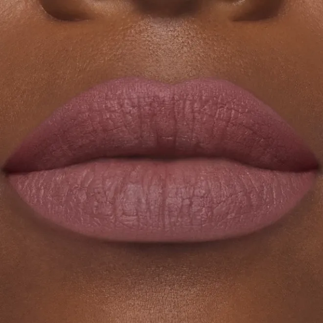 Rouge À Lèvres & Laque>ESTEE LAUDER Pure Color                Rouge à Lèvres Mat