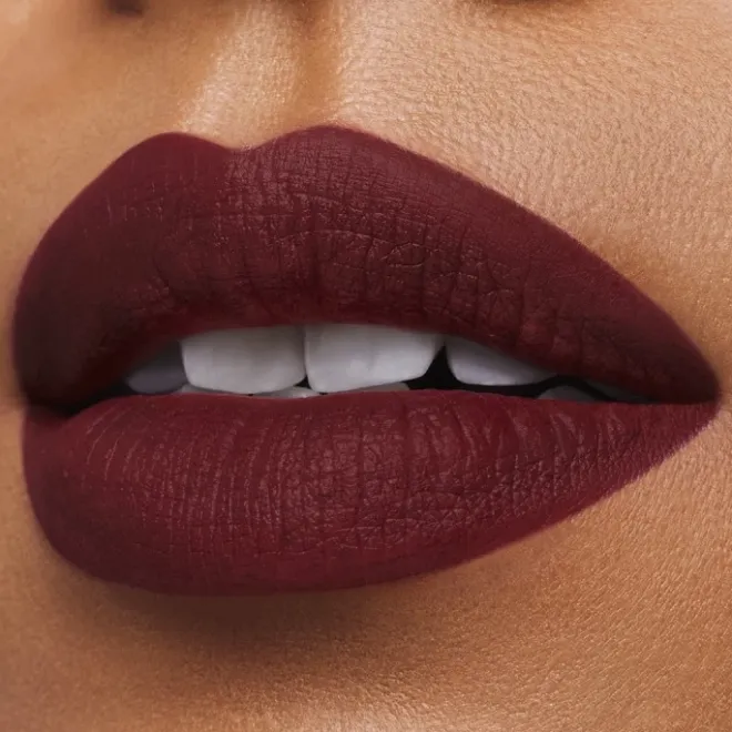 Rouge À Lèvres & Laque>ESTEE LAUDER Pure Color                Rouge à Lèvres Mat