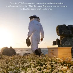 Soin Jour & Nuit><noscript><img width=