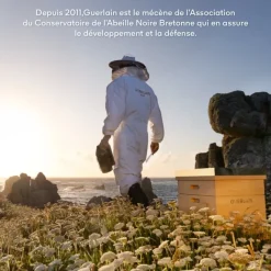 Soin De Jour><noscript><img width=