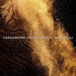 Parfum Mixte>GUERLAIN Absolus Allegoria Epices Exquises                Eau de Parfum