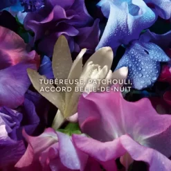 Parfum Mixte><noscript><img width=