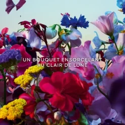 Parfum Mixte><noscript><img width=