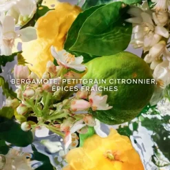 Parfum Naturel & Eco-Responsable|Eau De Toilette><noscript><img width=