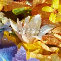 Parfum Naturel & Eco-Responsable|Parfum Recharge><noscript><img width=