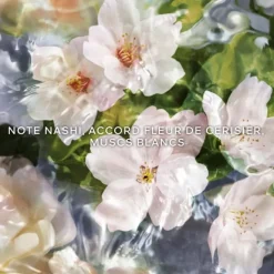 Parfum Naturel & Eco-Responsable|Eau De Toilette><noscript><img width=