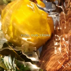 Parfum Naturel & Eco-Responsable|Parfum Recharge>GUERLAIN Aqua Allegoria Forte Oud Yuzu                Eau de Parfum - Flacon Recharge