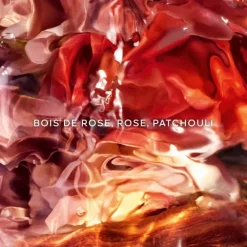 Parfum Naturel & Eco-Responsable|Parfum Recharge>GUERLAIN Aqua Allegoria Forte Rosa Palissandro                 Eau de Parfum - Flacon Recharge