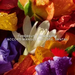 Parfum Naturel & Eco-Responsable|Eau De Parfum><noscript><img width=