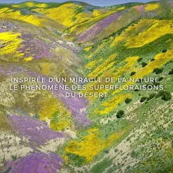 Parfum Naturel & Eco-Responsable|Eau De Parfum><noscript><img width=