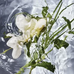 Parfum Naturel & Eco-Responsable|Eau De Toilette><noscript><img width=