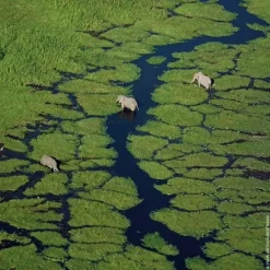 Parfum Naturel & Eco-Responsable|Eau De Toilette><noscript><img width=