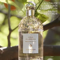 Parfum Naturel & Eco-Responsable|Eau De Toilette><noscript><img width=