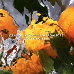 Parfum Naturel & Eco-Responsable|Eau De Toilette><noscript><img width=