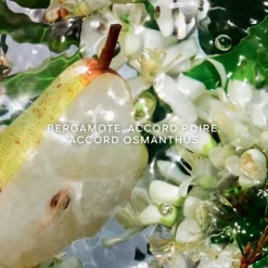 Parfum Naturel & Eco-Responsable|Eau De Toilette><noscript><img width=