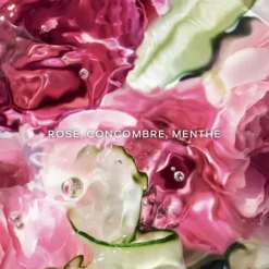 Parfum Naturel & Eco-Responsable|Gamme Complémentaire Parfumée><noscript><img width=