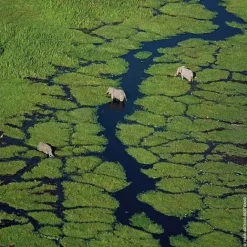 Eau De Toilette><noscript><img width=