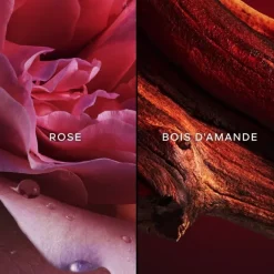 Eau De Toilette><noscript><img width=