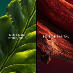 Eau De Toilette><noscript><img width=