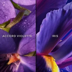 Eau De Parfum><noscript><img width=