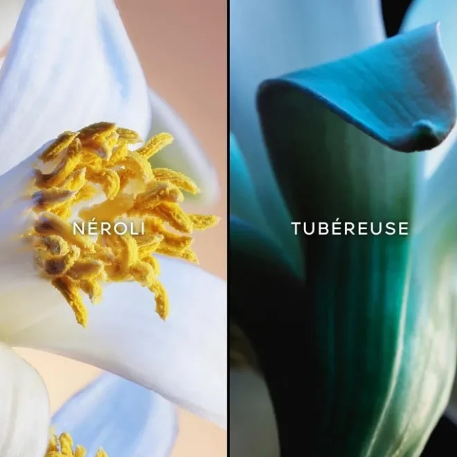 Eau De Toilette>GUERLAIN Jardins De Bagatelle Eau de Toilette