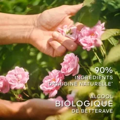 Eau De Toilette><noscript><img width=