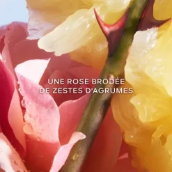 Eau De Toilette><noscript><img width=